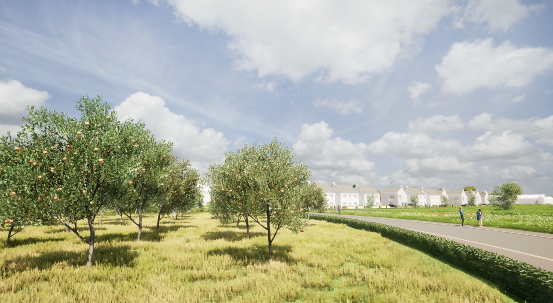 Illustrative view of community orchard toward new housing
