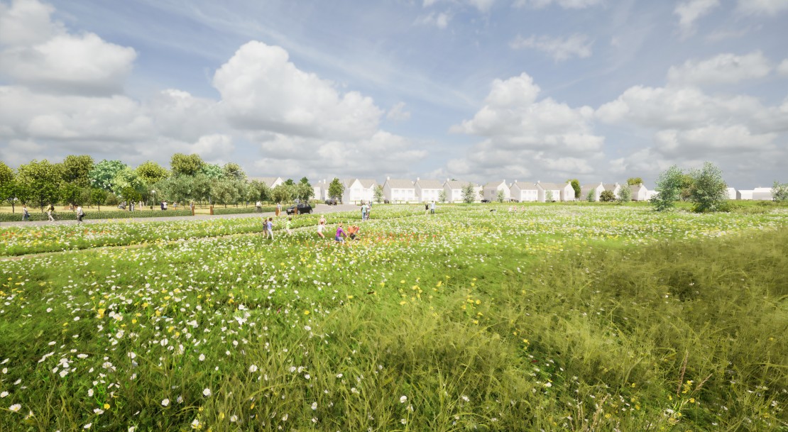 View toward Church Fields, showing species rich grassland and tree planting