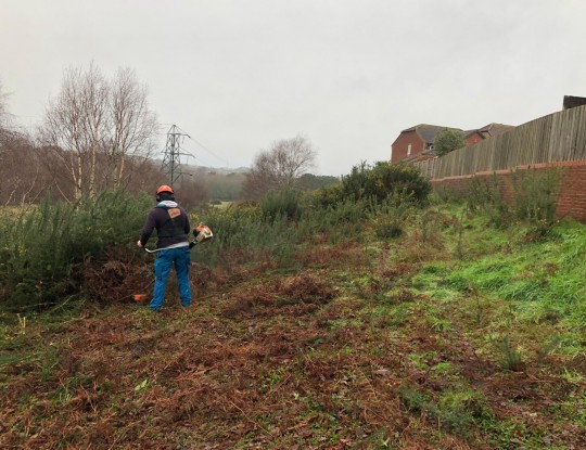 Cutting a fire break to protect nearby homes